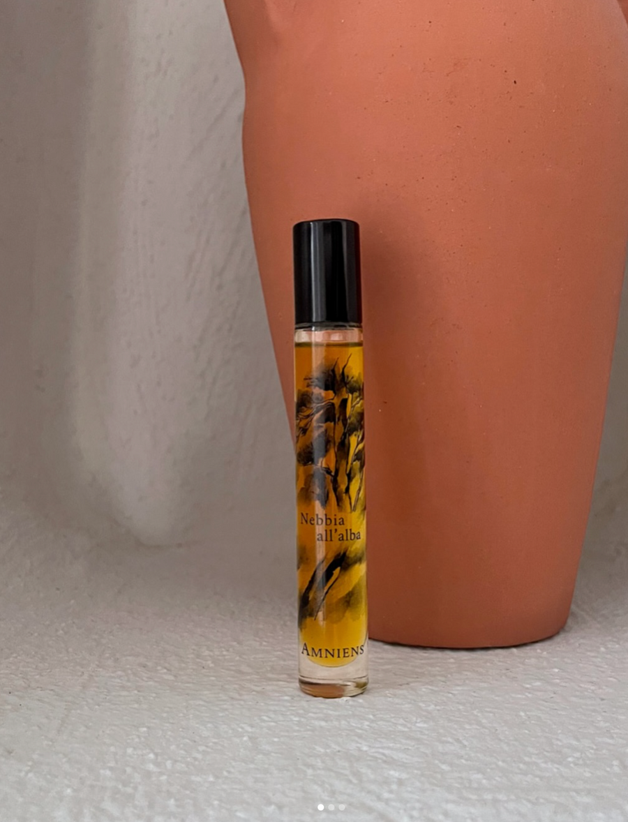 Migration Shopify — RYSE